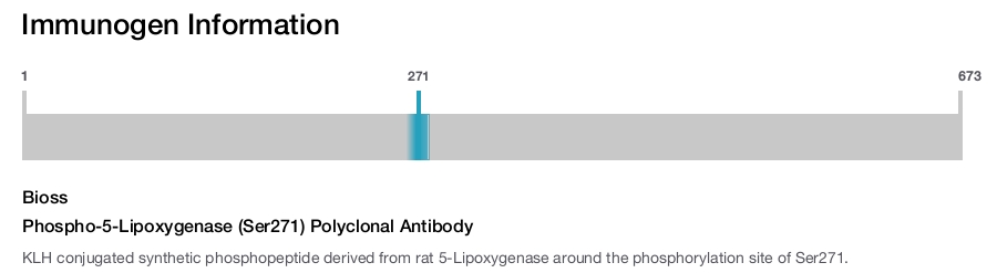 Phospho-5-Lipoxygenase (Ser271) Polyclonal Antibody