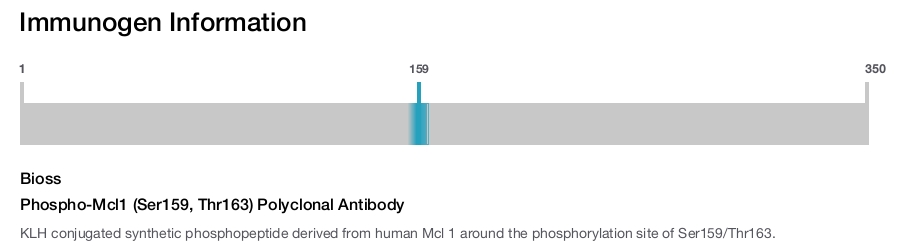 Phospho-Mcl1 (Ser159, Thr163) Polyclonal Antibody