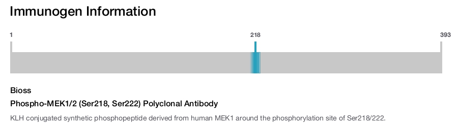 Phospho-MEK1/2 (Ser218, Ser222) Polyclonal Antibody
