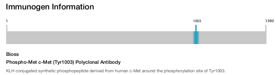 Phospho-Met c-Met (Tyr1003) Polyclonal Antibody