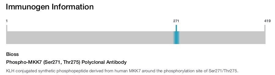 Phospho-MKK7 (Ser271, Thr275) Polyclonal Antibody