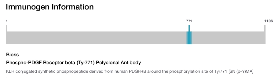 Phospho-PDGF Receptor beta (Tyr771) Polyclonal Antibody