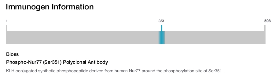 Phospho-Nur77 (Ser351) Polyclonal Antibody