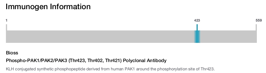 Phospho-PAK1/PAK2/PAK3 (Thr423, Thr402, Thr421) Polyclonal Antibody
