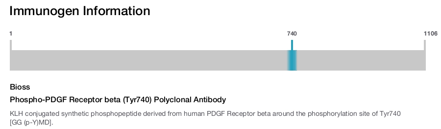Phospho-PDGF Receptor beta (Tyr740) Polyclonal Antibody