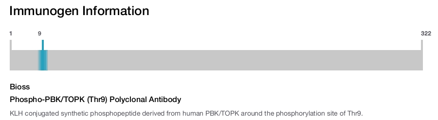 Phospho-PBK/TOPK (Thr9) Polyclonal Antibody