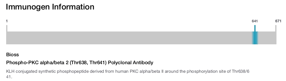 Phospho-PKC alpha/beta 2 (Thr638, Thr641) Polyclonal Antibody