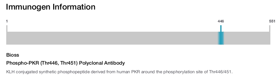 Phospho-PKR (Thr446, Thr451) Polyclonal Antibody
