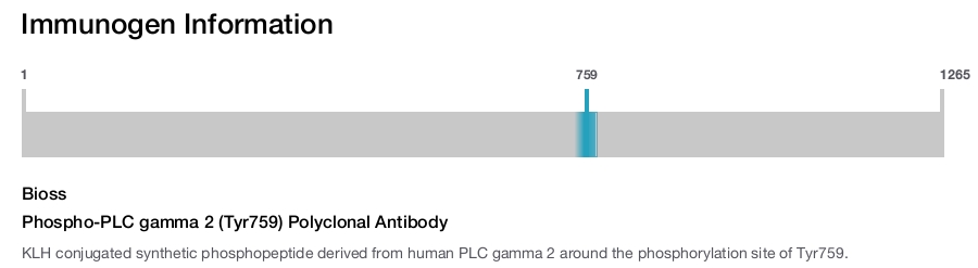 Phospho-PLC gamma 2 (Tyr759) Polyclonal Antibody