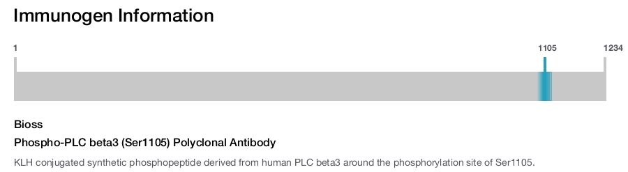 Phospho-PLC beta3 (Ser1105) Polyclonal Antibody