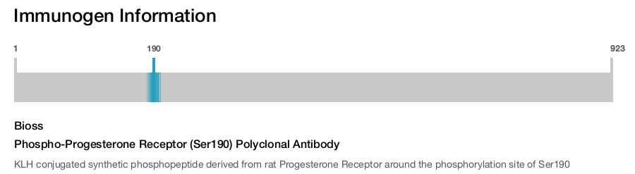 Phospho-Progesterone Receptor (Ser190) Polyclonal Antibody