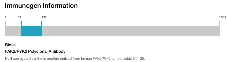 FAK2/PYK2 Polyclonal Antibody