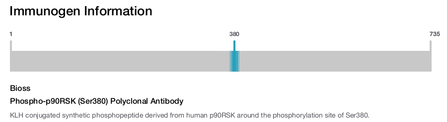 Phospho-p90RSK (Ser380) Polyclonal Antibody