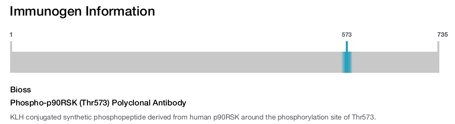 Phospho-p90RSK (Thr573) Polyclonal Antibody