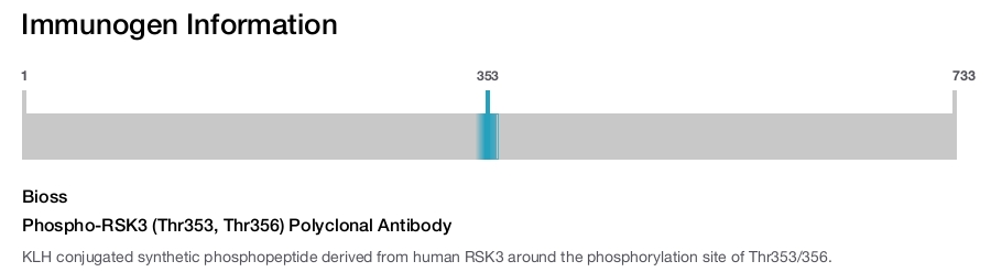 Phospho-RSK3 (Thr353, Thr356) Polyclonal Antibody