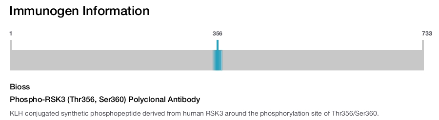 Phospho-RSK3 (Thr356, Ser360) Polyclonal Antibody