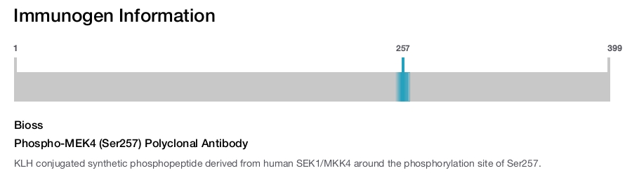 Phospho-MEK4 (Ser257) Polyclonal Antibody