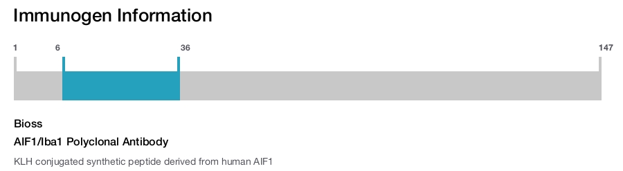 AIF1/Iba1 Polyclonal Antibody
