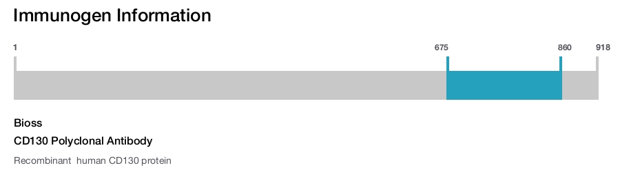 CD130 Polyclonal Antibody