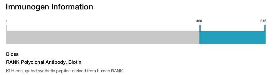 RANK Polyclonal Antibody, Biotin