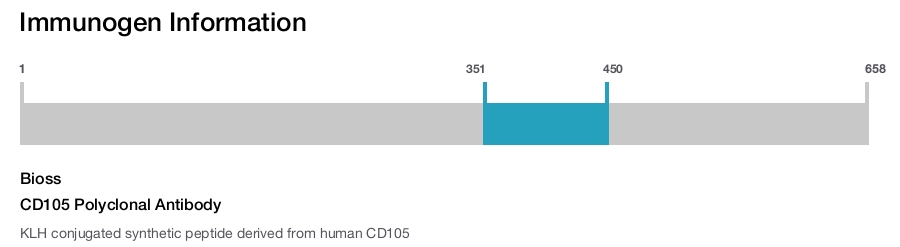 CD105 Polyclonal Antibody
