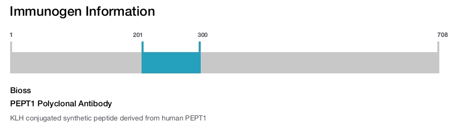 PEPT1 Polyclonal Antibody
