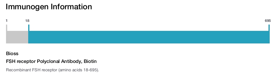 FSH receptor Polyclonal Antibody, Biotin