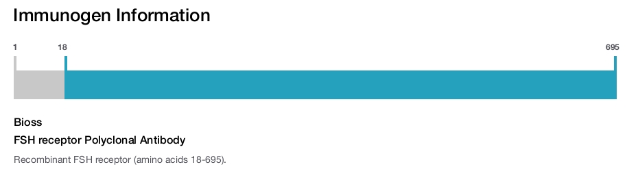 FSH receptor Polyclonal Antibody