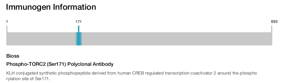 Phospho-TORC2 (Ser171) Polyclonal Antibody