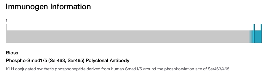 Phospho-Smad1/5 (Ser463, Ser465) Polyclonal Antibody