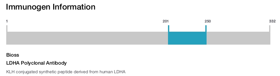 LDHA Polyclonal Antibody