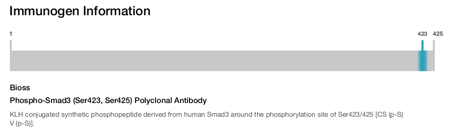 Phospho-Smad3 (Ser423, Ser425) Polyclonal Antibody