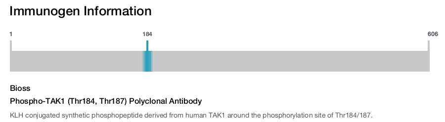 Phospho-TAK1 (Thr184, Thr187) Polyclonal Antibody
