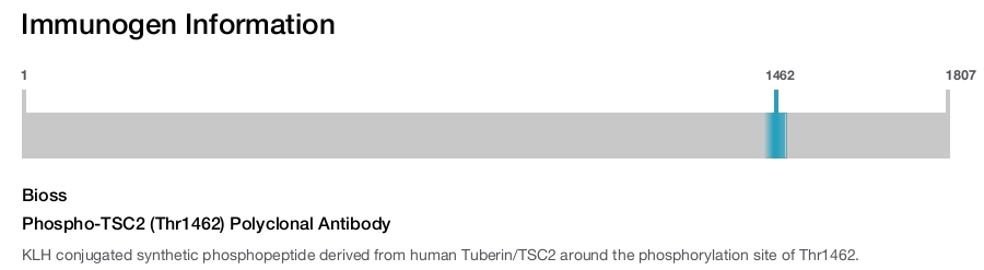 Phospho-TSC2 (Thr1462) Polyclonal Antibody