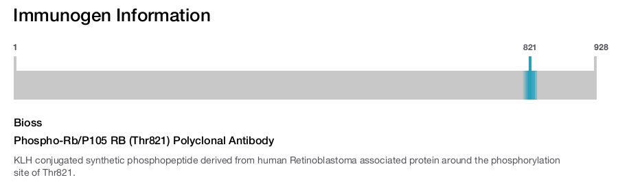 Phospho-Rb/P105 RB (Thr821) Polyclonal Antibody