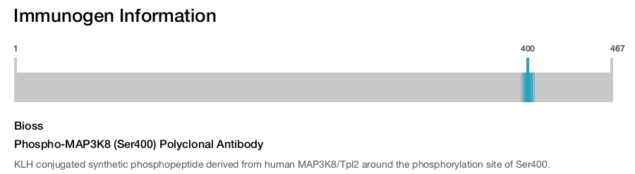 Phospho-MAP3K8 (Ser400) Polyclonal Antibody