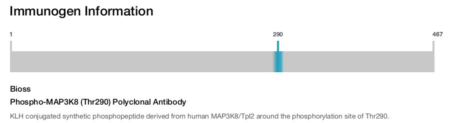 Phospho-MAP3K8 (Thr290) Polyclonal Antibody