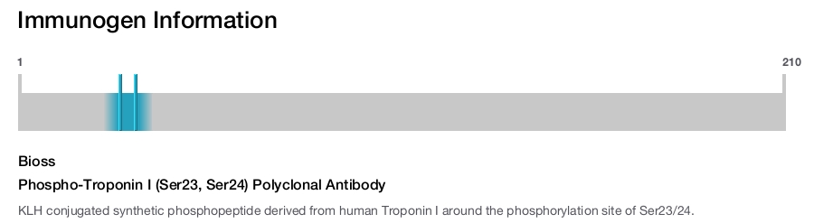 Phospho-Troponin I (Ser23, Ser24) Polyclonal Antibody