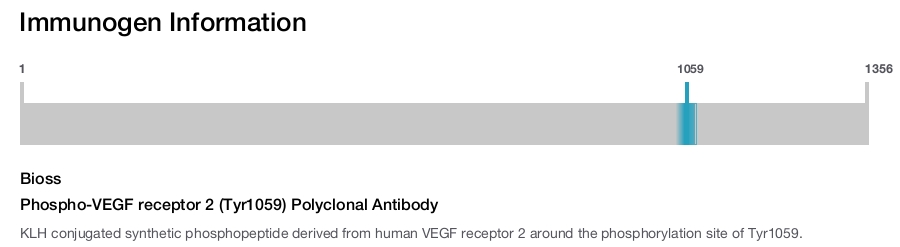 Phospho-VEGF receptor 2 (Tyr1059) Polyclonal Antibody