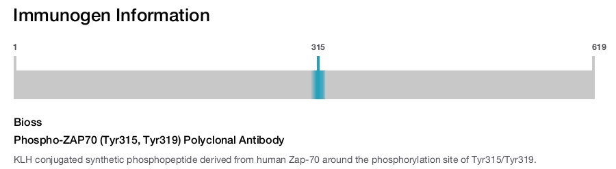 Phospho-ZAP70 (Tyr315, Tyr319) Polyclonal Antibody