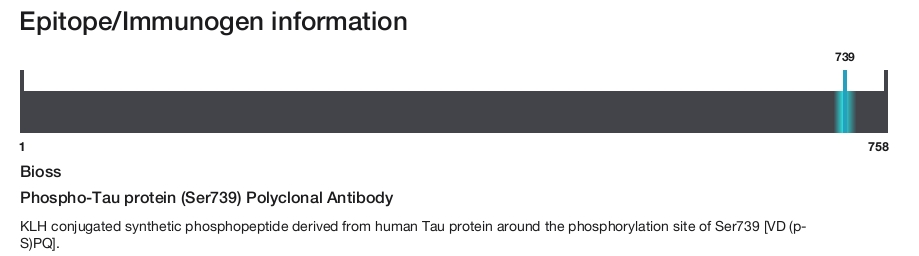 Phospho-Tau protein (Ser739) Polyclonal Antibody