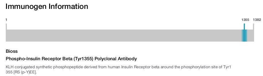 Phospho-Insulin Receptor Beta (Tyr1355) Polyclonal Antibody