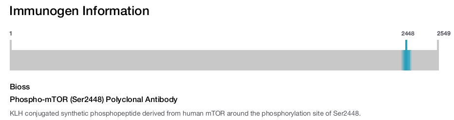Phospho-mTOR (Ser2448) Polyclonal Antibody