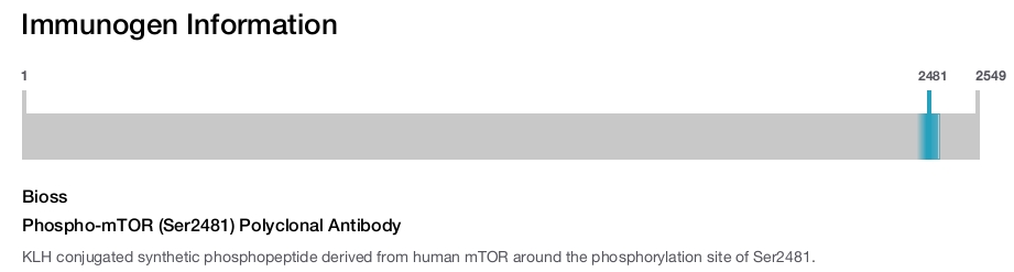 Phospho-mTOR (Ser2481) Polyclonal Antibody