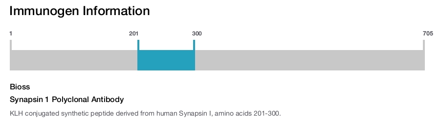 Synapsin 1 Polyclonal Antibody