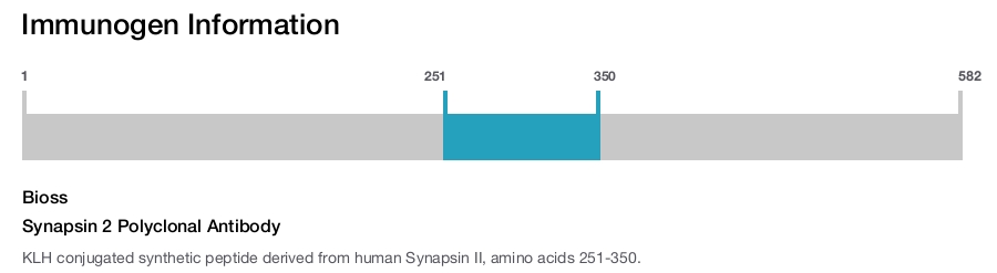 Synapsin 2 Polyclonal Antibody