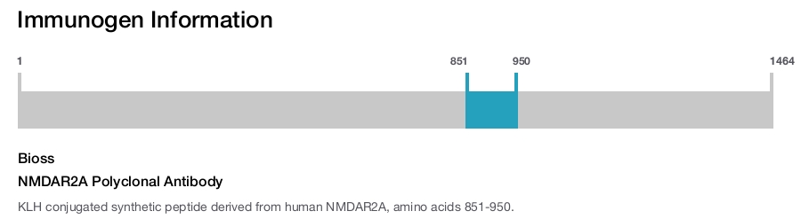 NMDAR2A Polyclonal Antibody