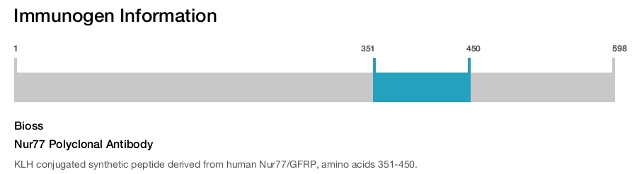 Nur77 Polyclonal Antibody