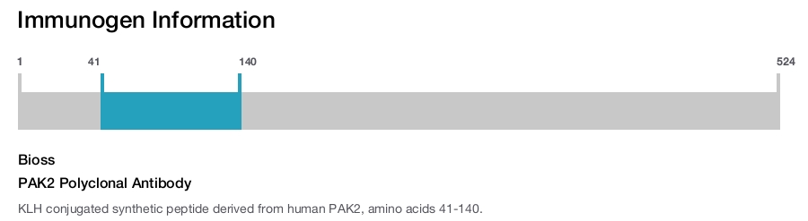 PAK2 Polyclonal Antibody