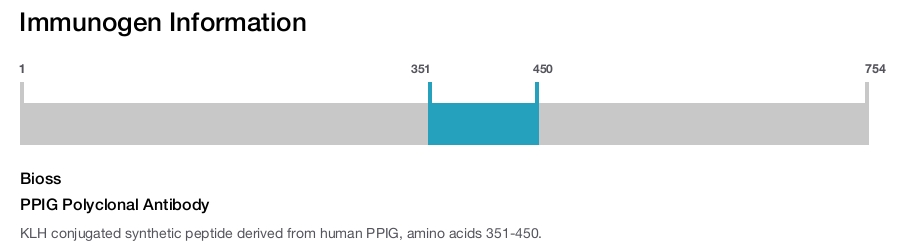 PPIG Polyclonal Antibody